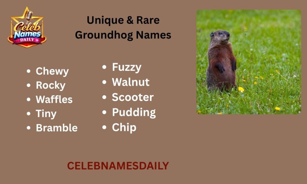 Unique & Rare Groundhog Names