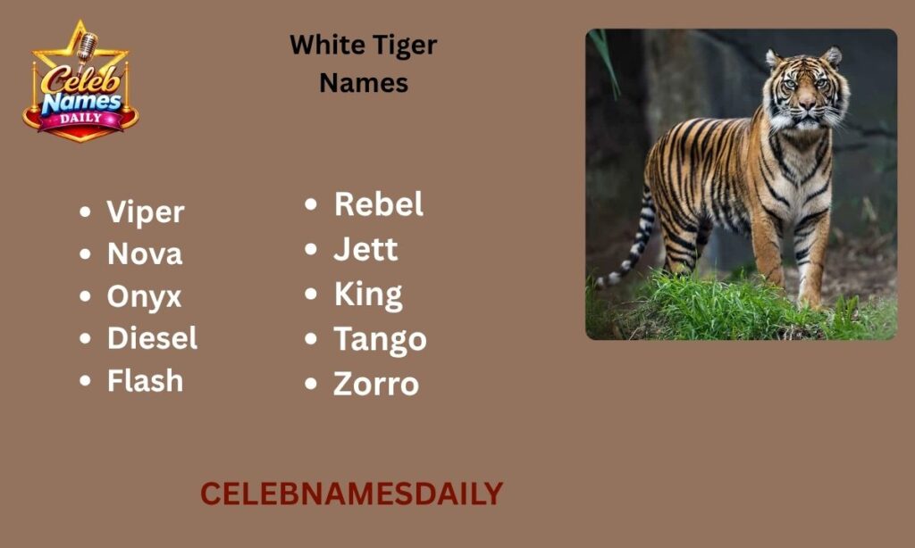 White Tiger Names