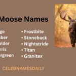 350+ Moose Names Generator for Pets & Characters – Creative, Cute & Cool Ideas