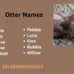 400+ Cute, Funny & Creative Otter Names Generator (With Meanings)