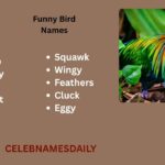 400+ Funny Bird Names: Inappropriate For Pets, Males & Girls 2026