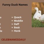 400+ Funny Duck Names: Unique, Cute, Dirty For Celebrity, Girl & Boy