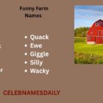 400+ Funny Farm Names Generator – Hay Day, Creative & Hilarious Names
