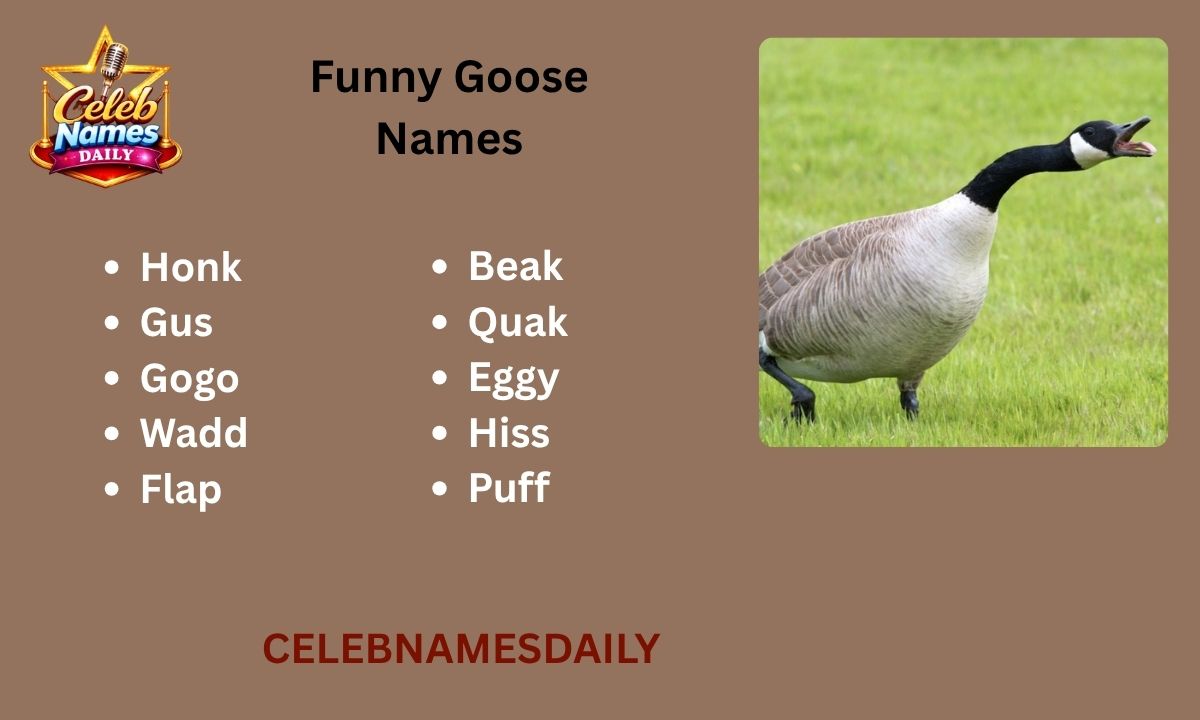 400+ Funny Goose Names Generator – Celebrity Puns, Cute Picks ...