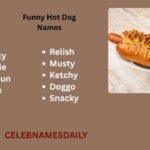 400+ Funny Hot Dog Names Generator: Slang, Puns & Creative Ideas