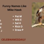 400+ Funny Names Like Mike Hawk: Weird, Fake Ideas For Adults