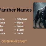 400+ Panther Names Guide: Powerful, Creative & Meaningful Ideas with Panther Names Generator
