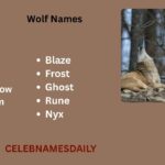 550+ Brave and Clever Wolf Names With Name Generator