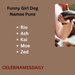 550+ Cute and Catchy Lizard Names With Name Generator