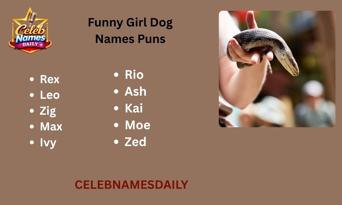 550+ Cute and Catchy Lizard Names With Name Generator