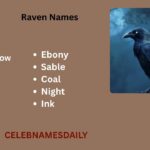 550+ Cute and Catchy Raven Names With Name Generator