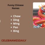 550+ Funny Chinese Names: Dirty For Friends, Jokes, Games & Girl Memes