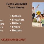 550+ Funny Volleyball Team Names: Unique, Dirty For Youth 2026