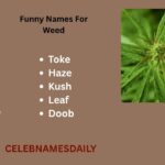 550+Funny Names For Weed: Slangs, Old, Nicknames For Smokers