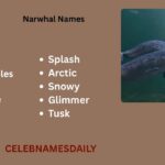 Top 550+ Narwhal Names – Cute, Cool & Creative Name Ideas with Narwhal Names Generator